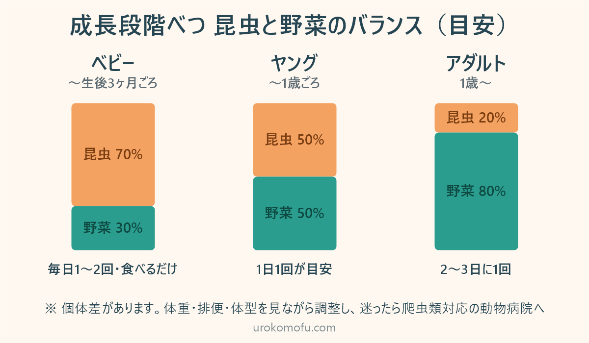 フトアゴヒゲトカゲの成長段階別の昆虫と野菜のバランス。ベビーは昆虫70%、ヤングは50%、アダルトは野菜80%
