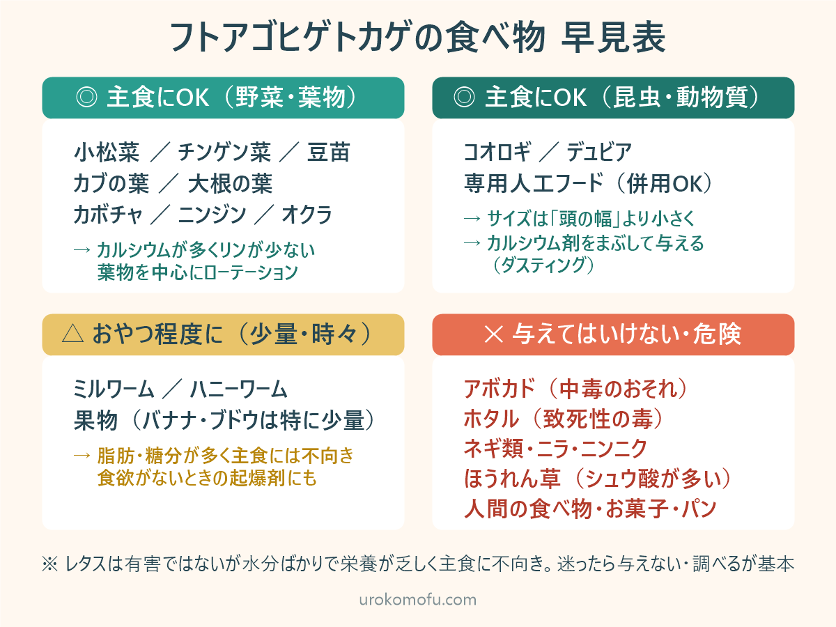 フトアゴヒゲトカゲの食べ物早見表。主食にOKな野菜と昆虫、おやつ程度のもの、与えてはいけない危険なもの